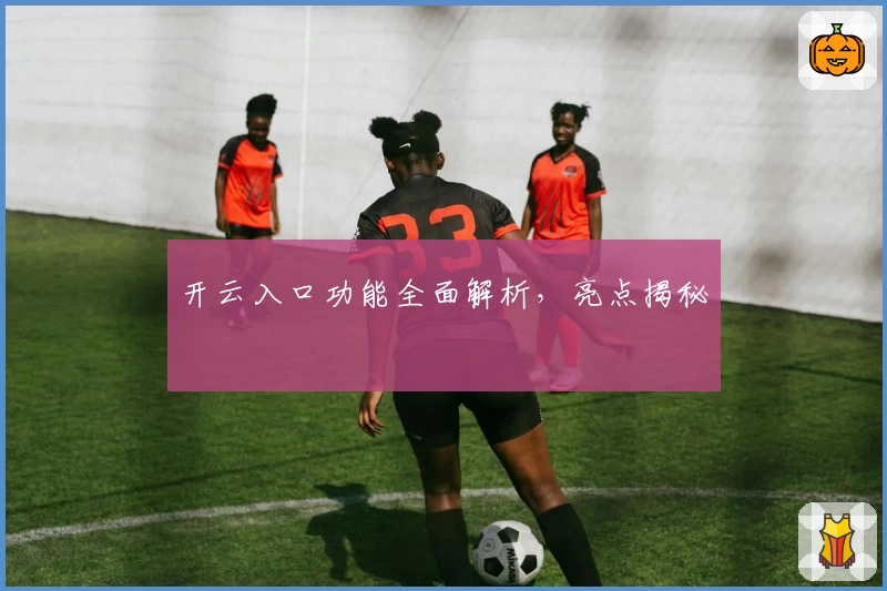 开云入口功能全面解析，亮点揭秘